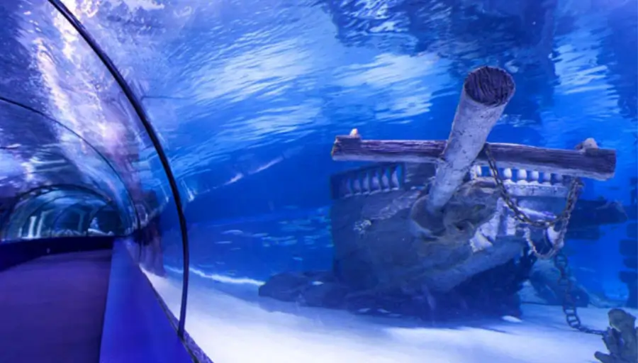 Antalya Aquarium & Face2Face Wax Museum photo 2
